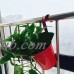 Girl12Queen Metal Iron Flower Pot Hanging Pastoral Balcony Garden Plant Planter Home Decor   